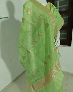 Chanderi Grace – Pure Handloom Chanderi Saree in Silk Cotton