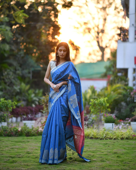 Neel Tarang – Chhattisgarh Woven Mix Tussar Silk Saree with Contrast Blouse