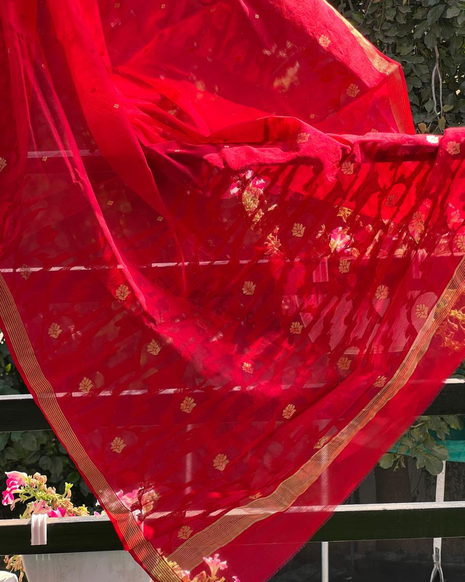 Crimson Grace – Pure Handwoven Chanderi Silk Cotton Saree with Blouse & Authentic Handloom Tag