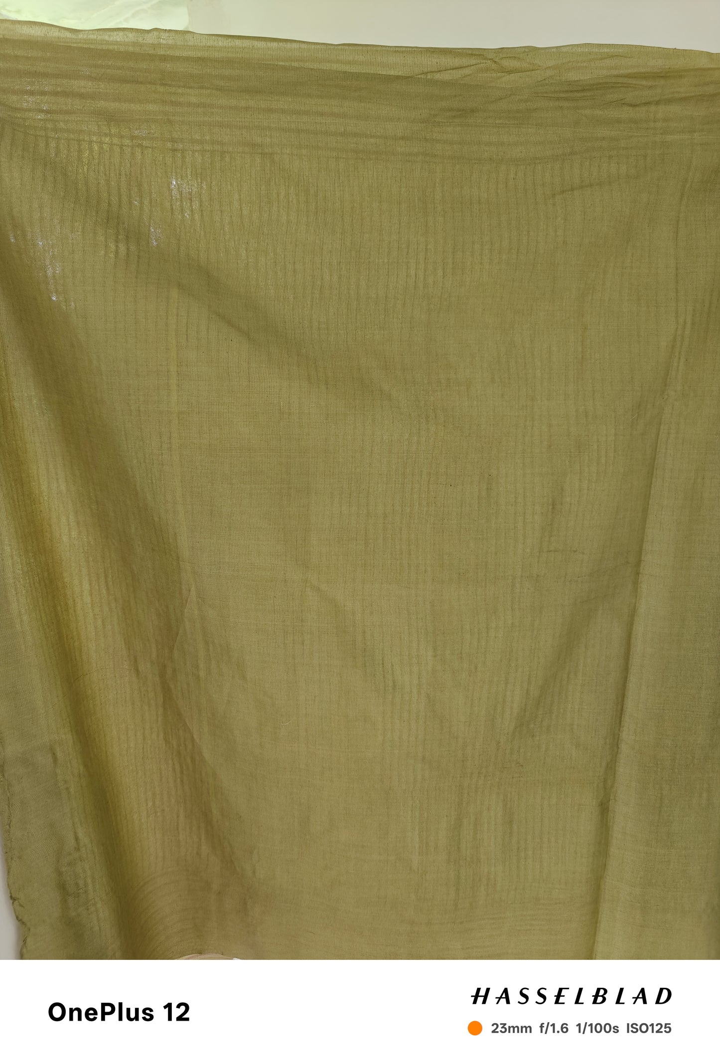 Forest Grace – Chhattisgarh Handwoven Pure Tussar Silk Saree with Silk Mark