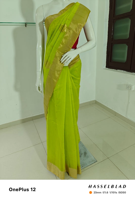 Mannequin wearing a green saree with a gold border in a room.