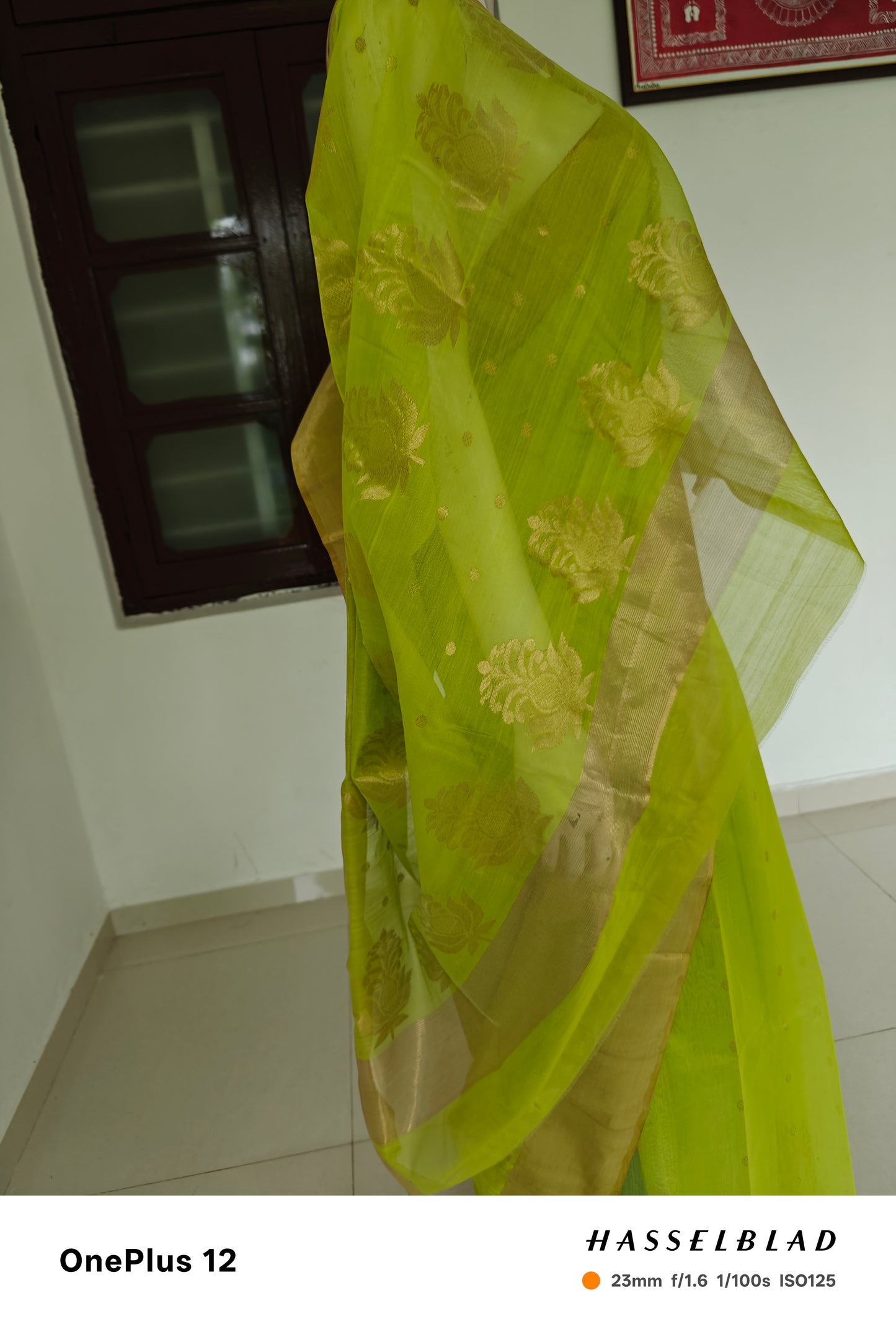 Timeless Grace – Pure Handwoven Silk Cotton Chanderi Saree with Blouse & Handloom Tag