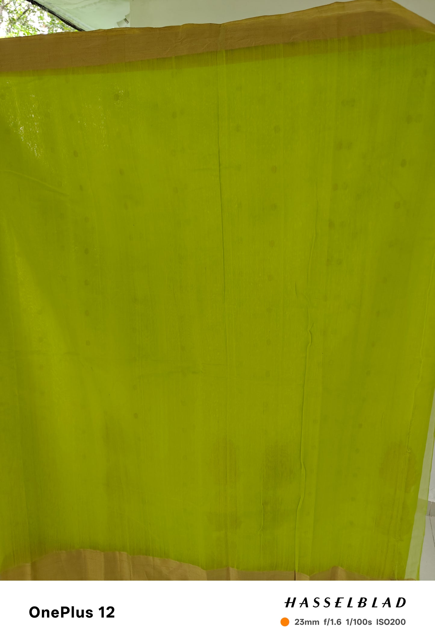 Timeless Grace – Pure Handwoven Silk Cotton Chanderi Saree with Blouse & Handloom Tag