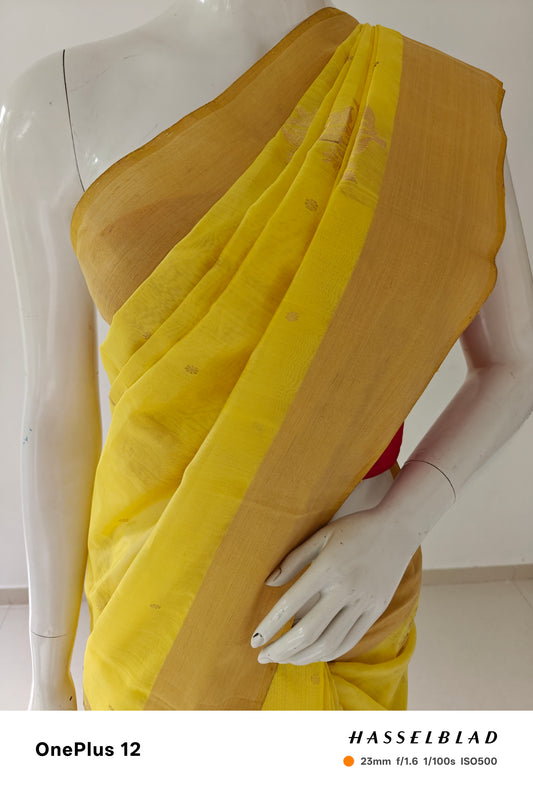 Sunlit Yellow – Pure Handwoven Silk Cotton Chanderi Saree with Blouse & Handloom Tag