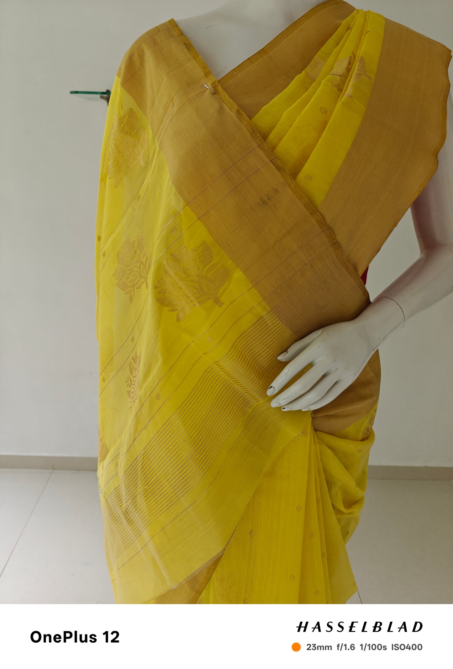 Sunlit Yellow – Pure Handwoven Silk Cotton Chanderi Saree with Blouse & Handloom Tag