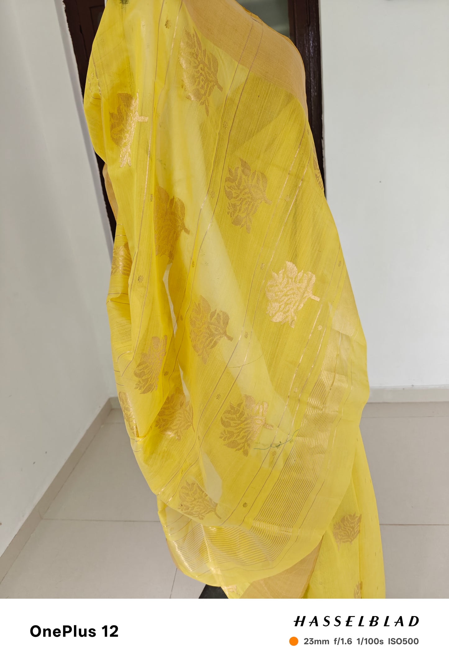 Sunlit Yellow – Pure Handwoven Silk Cotton Chanderi Saree with Blouse & Handloom Tag