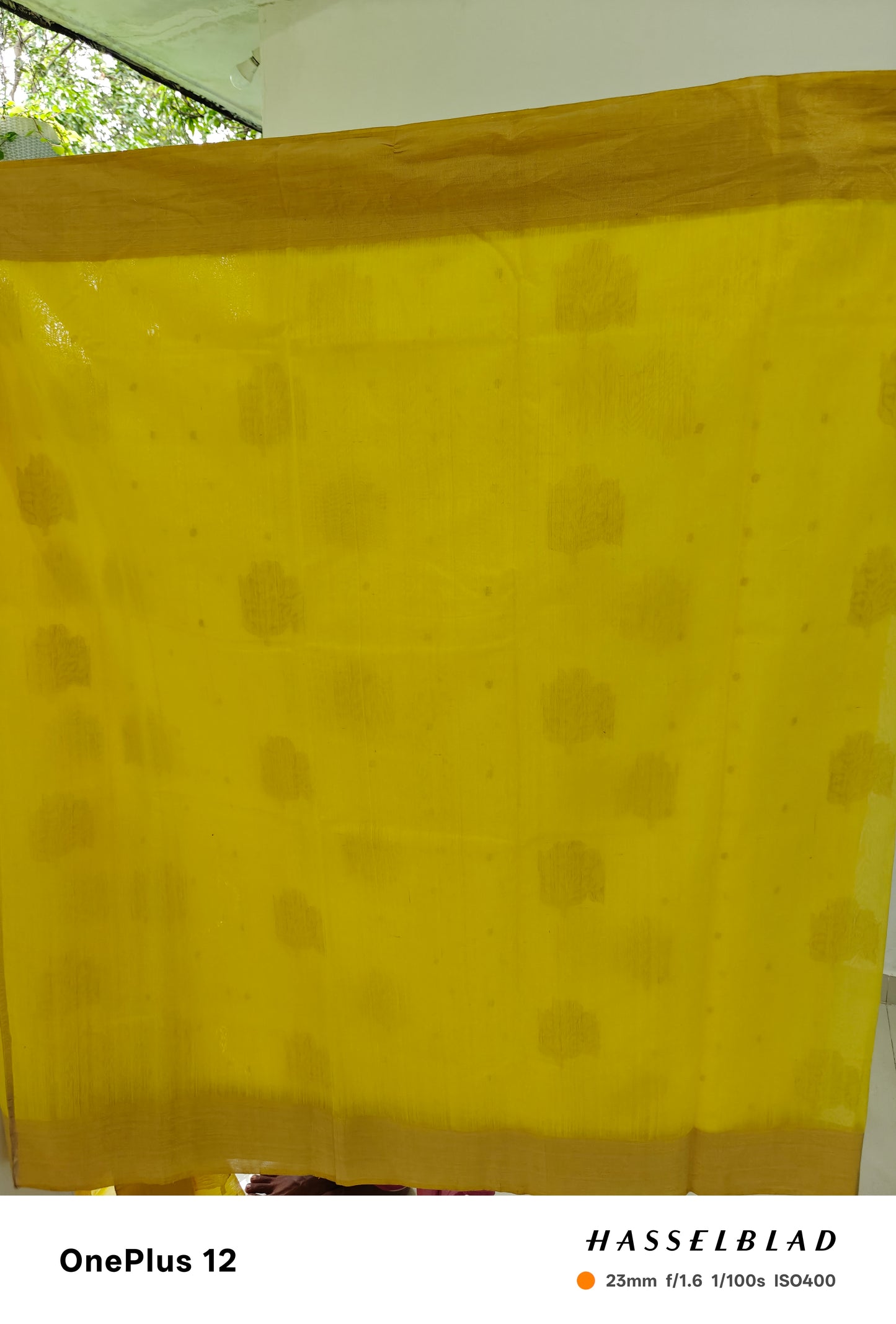 Sunlit Yellow – Pure Handwoven Silk Cotton Chanderi Saree with Blouse & Handloom Tag