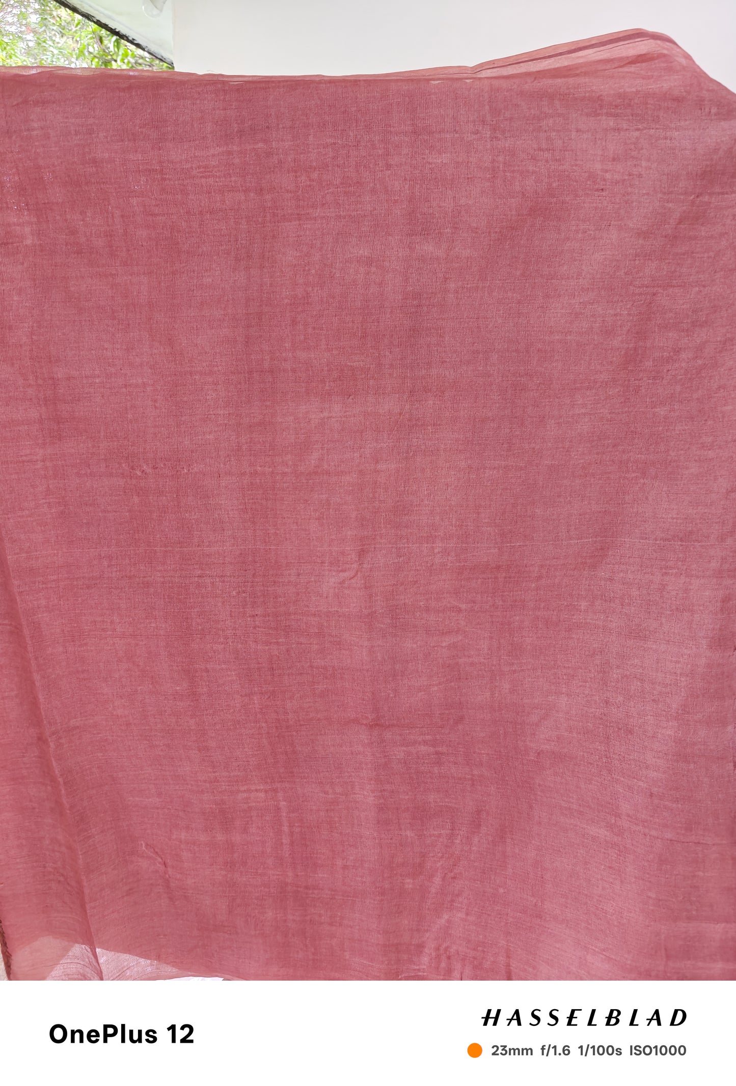 Rani Riwaayat – Chhattisgarh Handwoven Pure Tussar Silk Saree with Silk Mark