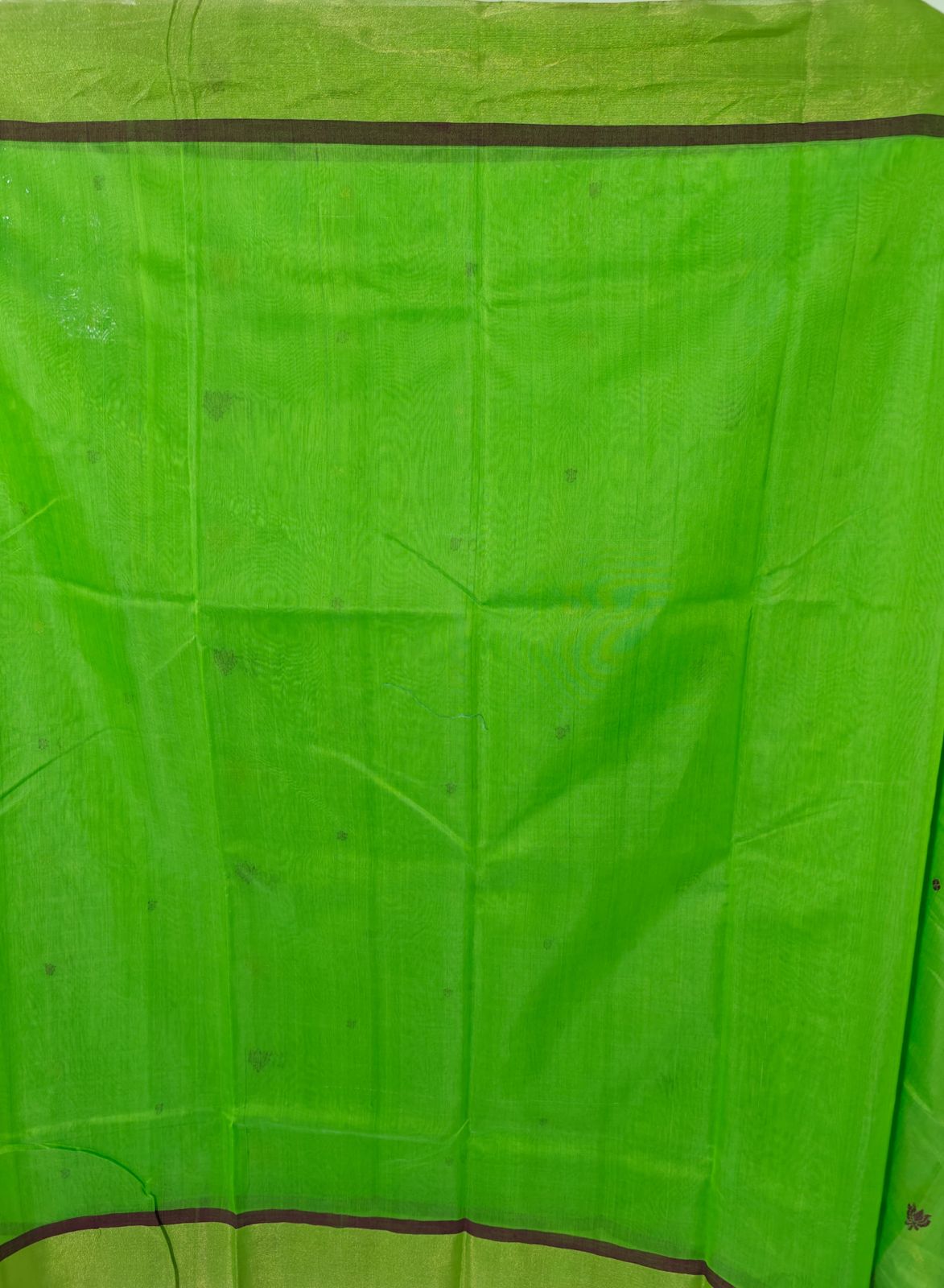 Emerald Weave – Green Pure Handwoven Chanderi Silk Cotton Saree with Blouse & Handloom Tag