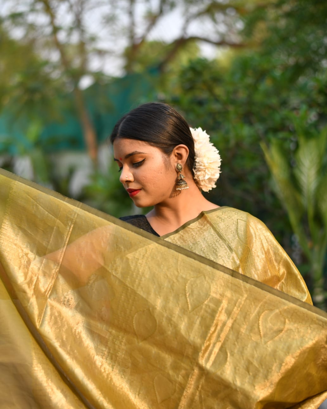 Pure Silk Cotton Saree with Blouse – A Fusion of Tradition and Comfort