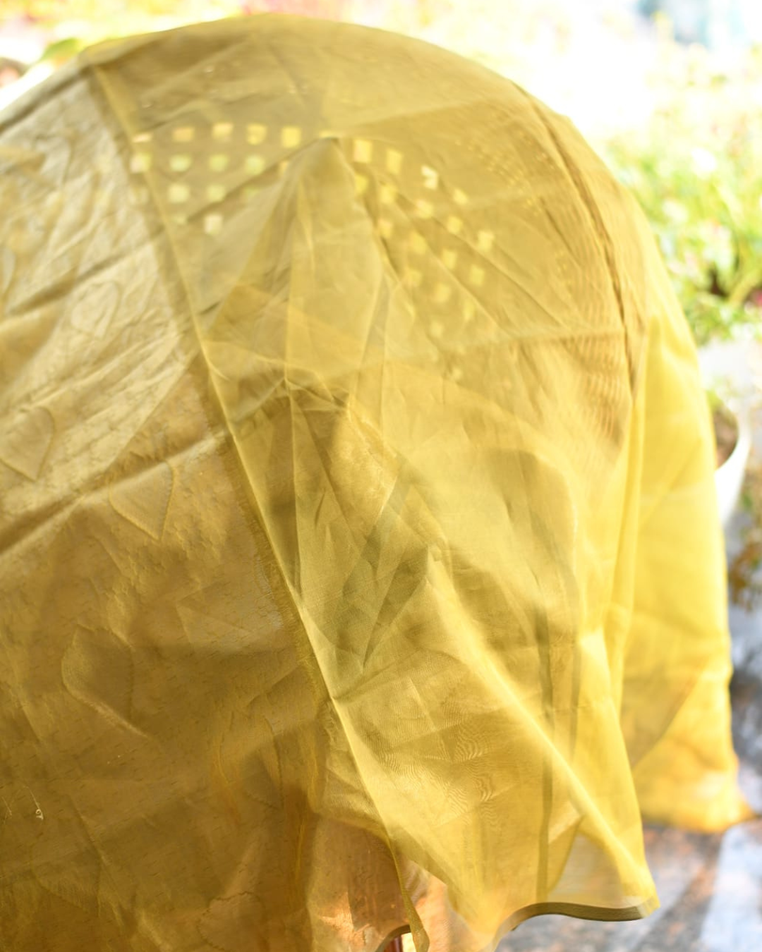 Pure Silk Cotton Saree with Blouse – A Fusion of Tradition and Comfort