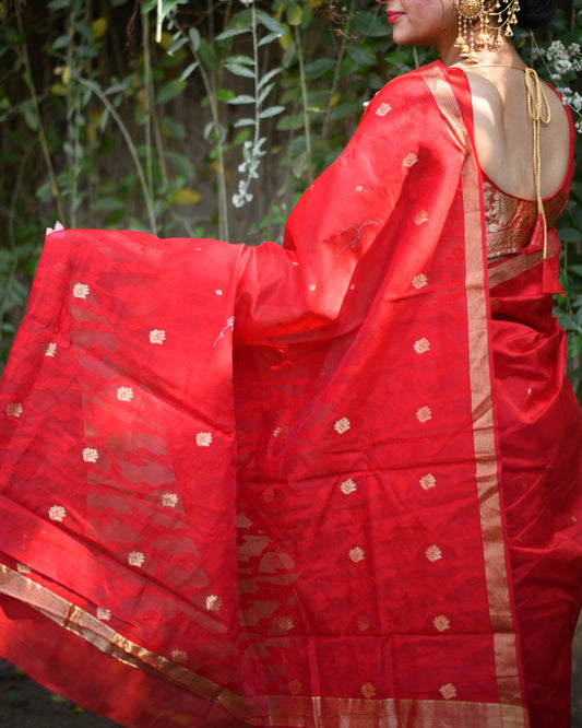 Crimson Grace – Pure Handwoven Chanderi Silk Cotton Saree with Blouse & Authentic Handloom Tag